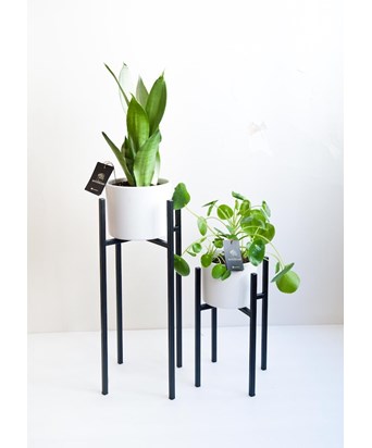 Saksı Ayağı 55cm